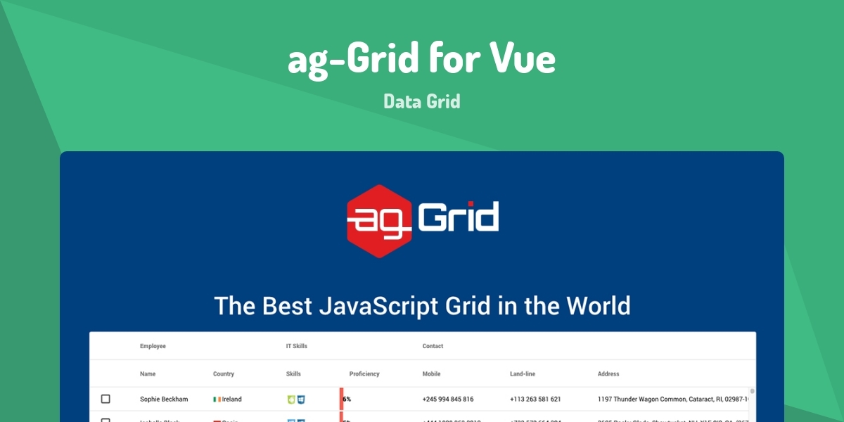 ag-Grid for Vue - Data Grid - Made with Vue.js