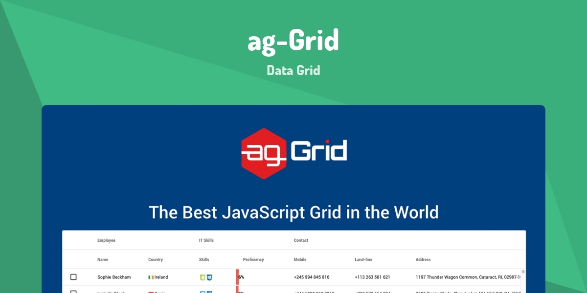 ag-Grid - Data Grid - Made with Vue.js